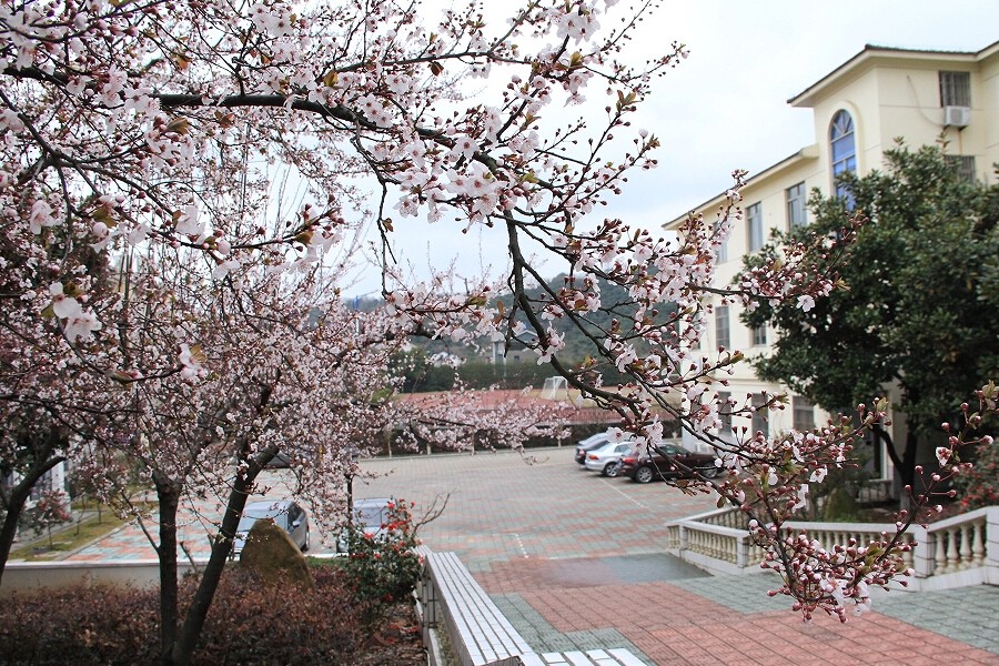 中職高職學(xué)校